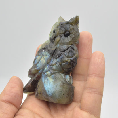 Labradorite Crystal Carved Owl - 8cm - 148 grams #09