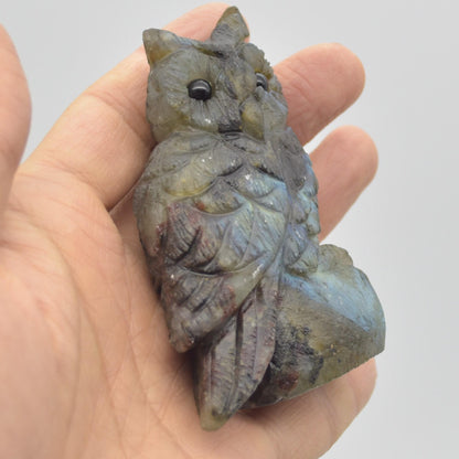 Labradorite Crystal Carved Owl - 8cm - 148 grams #09