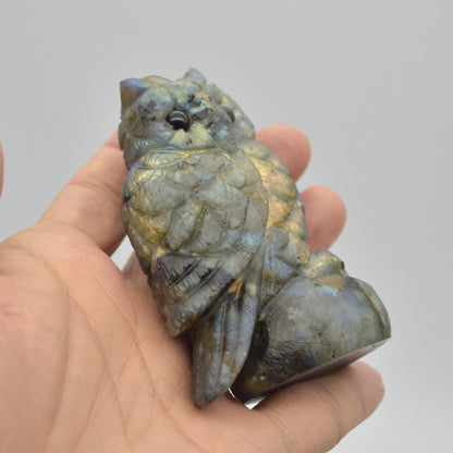 Labradorite Crystal Carved Owl - 8.5cm - 199 grams #07