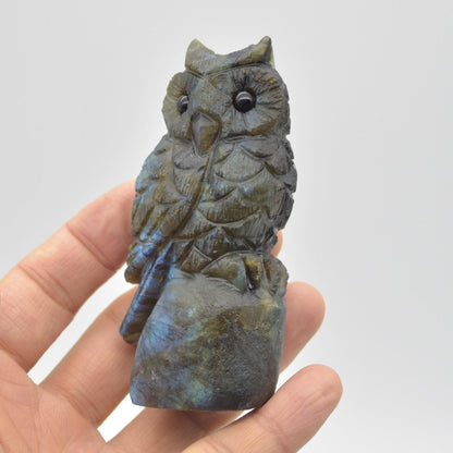 Labradorite Crystal Carved Owl - 9cm - 171 grams #06