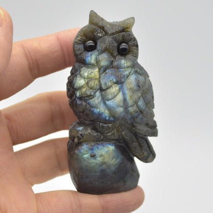 Labradorite Crystal Carved Owl - 8.5cm - 146 grams #04