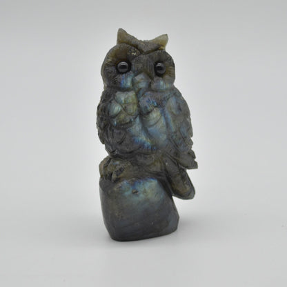 Labradorite Crystal Carved Owl - 8.5cm - 146 grams #04