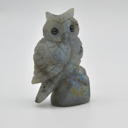 Labradorite Crystal Carved Owl - 8cm - 125 grams #03