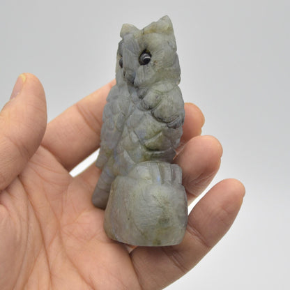 Labradorite Crystal Carved Owl - 8cm - 124 grams #02