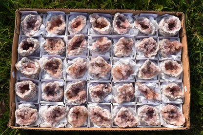 Pink Amethyst Raw Specimen Geode Rock - 1 Count - Various Sizes - #01