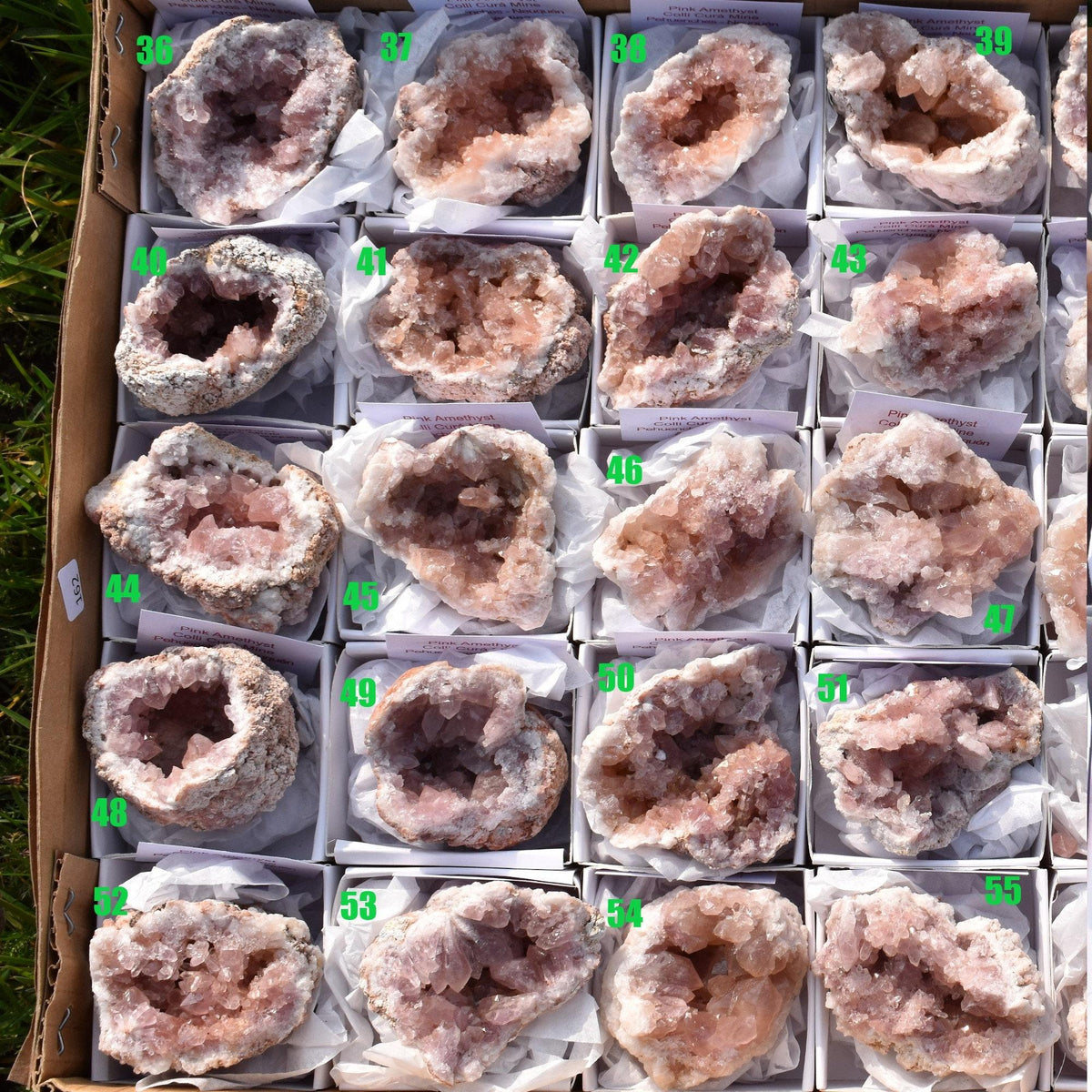 Pink Amethyst Raw Specimen Geode Rock - 1 Count - Various Sizes - #01