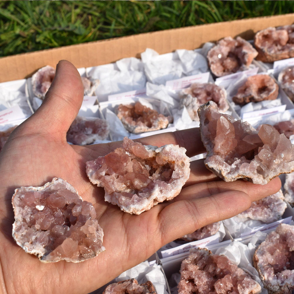 Pink Amethyst Raw Specimen Geode Rock - 1 Count - Various Sizes - #02
