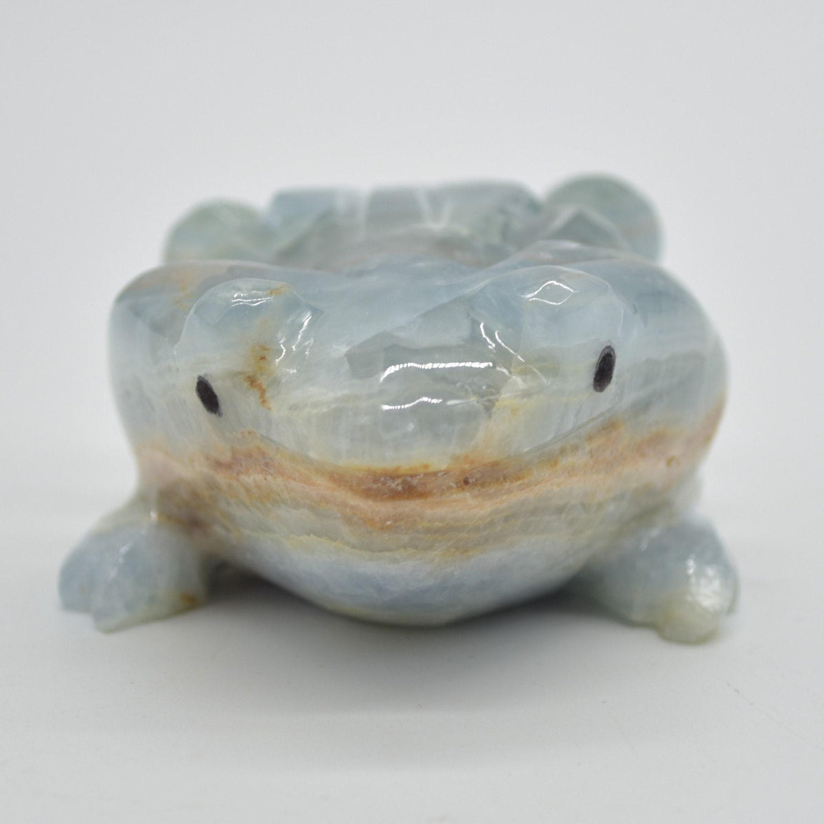 Blue Onyx (Lemurian Aquatine Calcite) Crystal Carved Frog / Toad - 289 grams #04