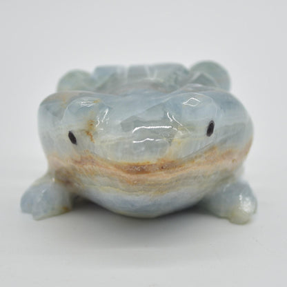 Blue Onyx (Lemurian Aquatine Calcite) Crystal Carved Frog / Toad - 289 grams #04