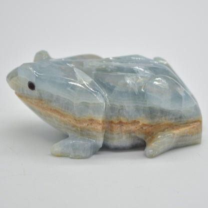 Blue Onyx (Lemurian Aquatine Calcite) Crystal Carved Frog / Toad - 289 grams #04