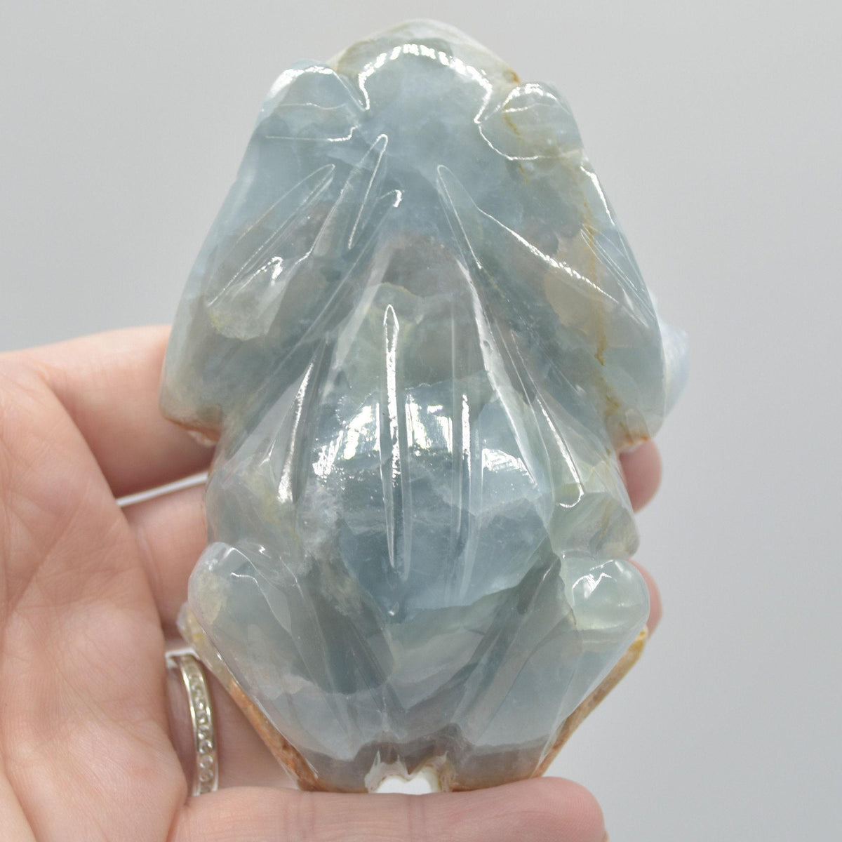 Blue Onyx (Lemurian Aquatine Calcite) Crystal Carved Frog / Toad - 289 grams #04