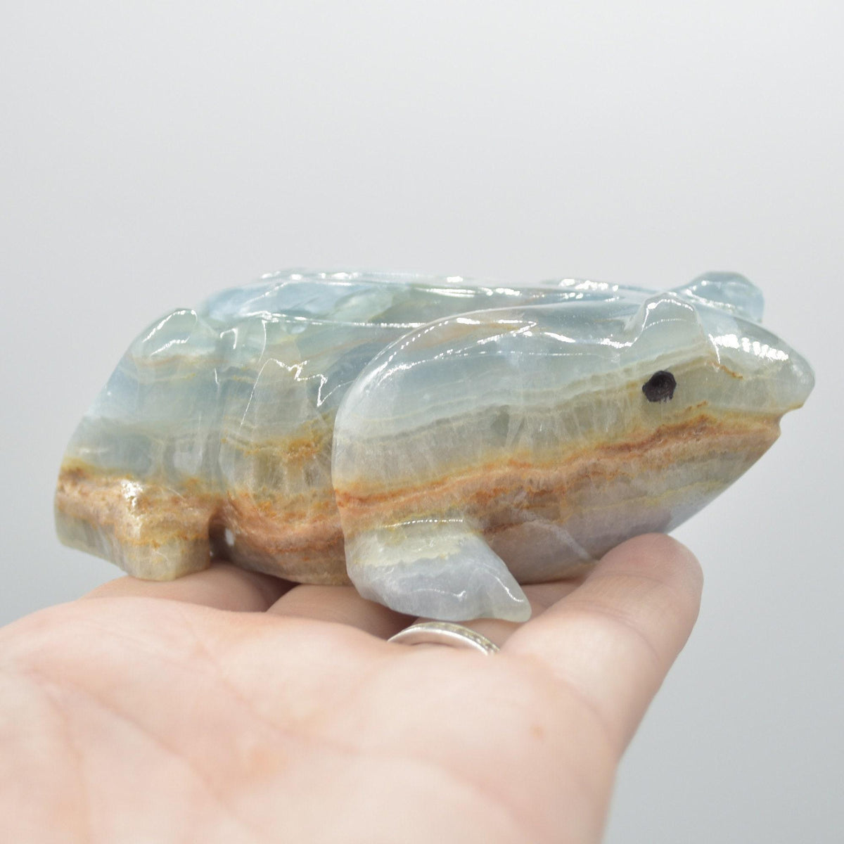 Blue Onyx (Lemurian Aquatine Calcite) Crystal Carved Frog / Toad - 289 grams #04