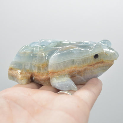 Blue Onyx (Lemurian Aquatine Calcite) Crystal Carved Frog / Toad - 289 grams #04