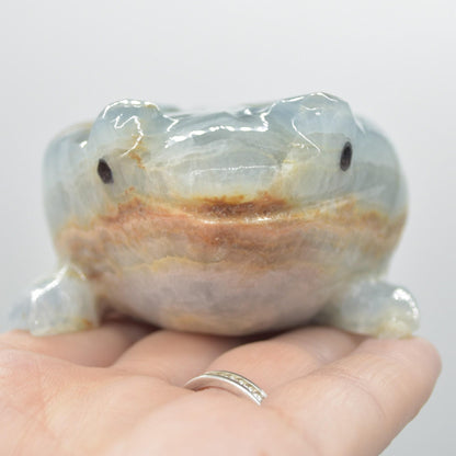 Blue Onyx (Lemurian Aquatine Calcite) Crystal Carved Frog / Toad - 289 grams #04