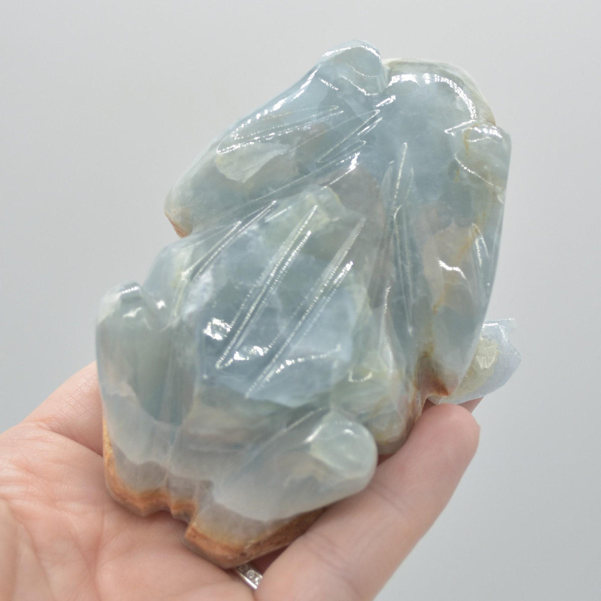 Blue Onyx (Lemurian Aquatine Calcite) Crystal Carved Frog / Toad - 289 grams #04
