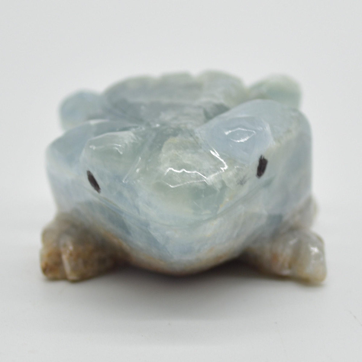 Blue Onyx (Lemurian Aquatine Calcite) Crystal Carved Frog / Toad - 131 grams #02