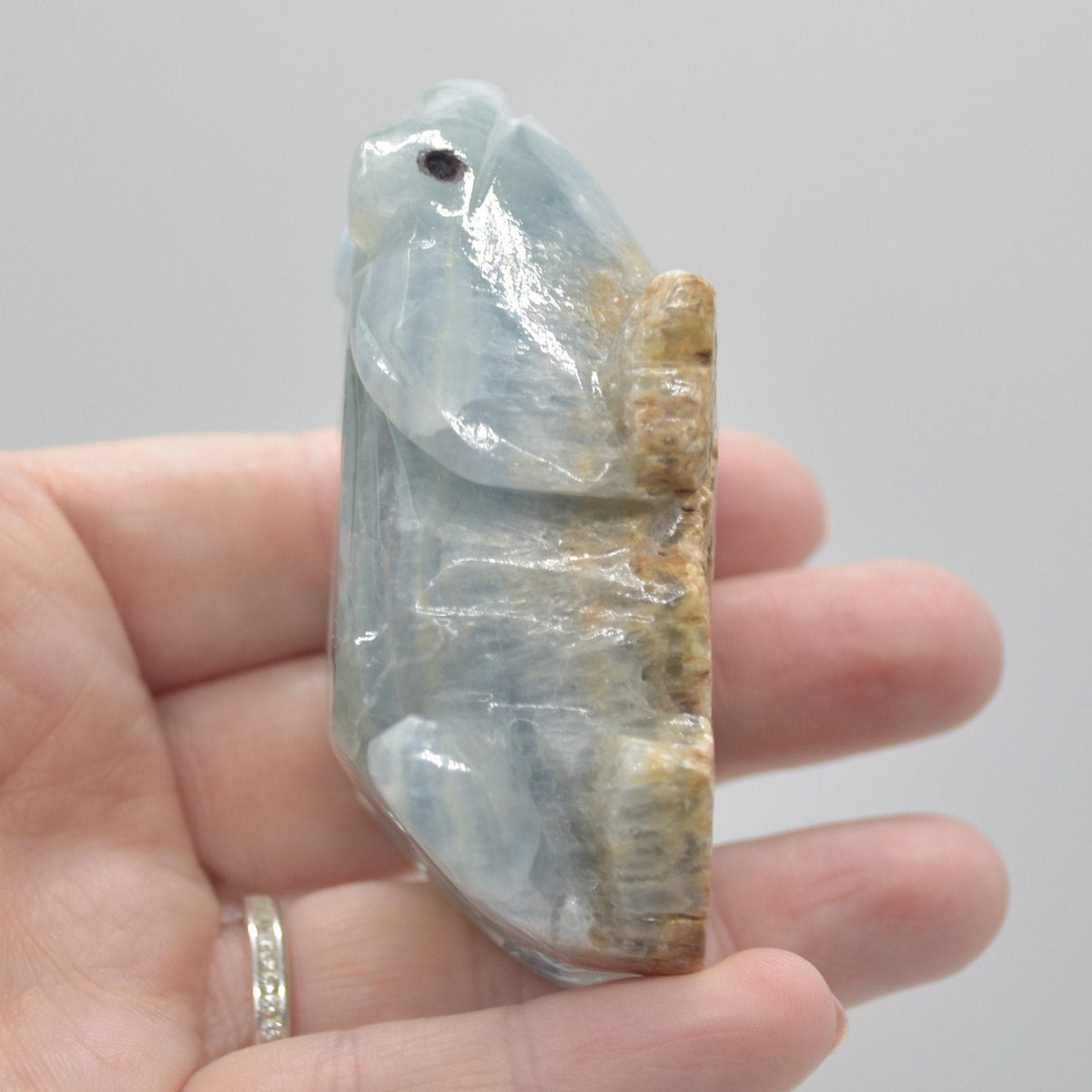 Blue Onyx (Lemurian Aquatine Calcite) Crystal Carved Frog / Toad - 131 grams #02