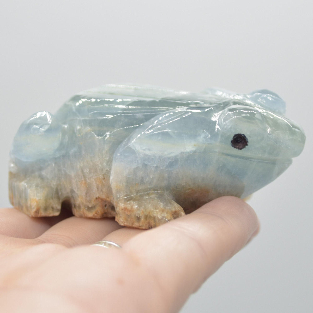 Blue Onyx (Lemurian Aquatine Calcite) Crystal Carved Frog / Toad - 131 grams #02