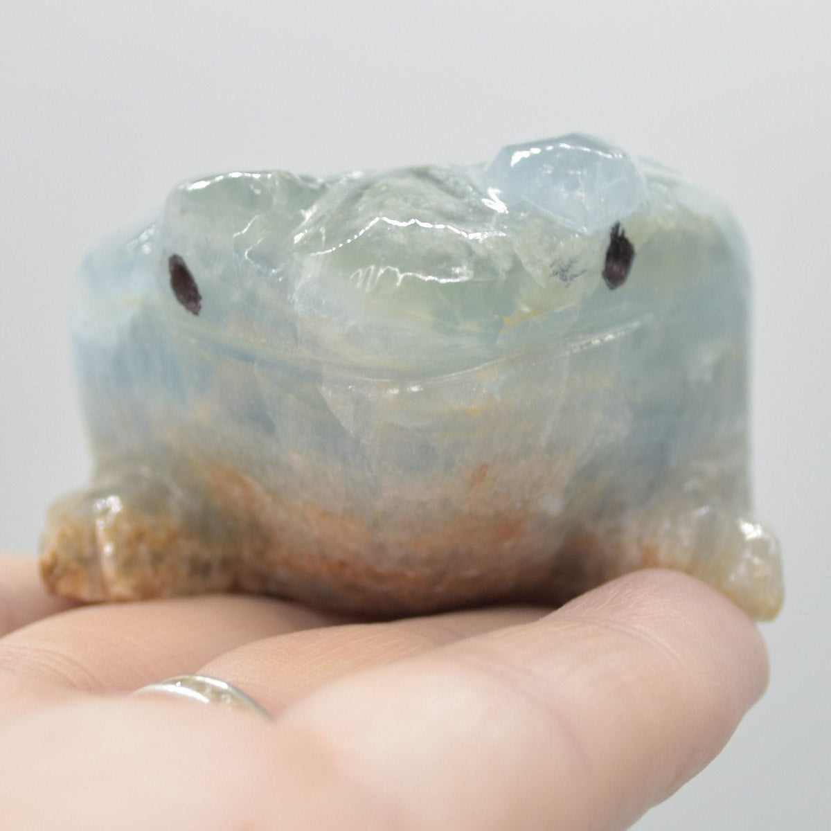 Blue Onyx (Lemurian Aquatine Calcite) Crystal Carved Frog / Toad - 131 grams #02