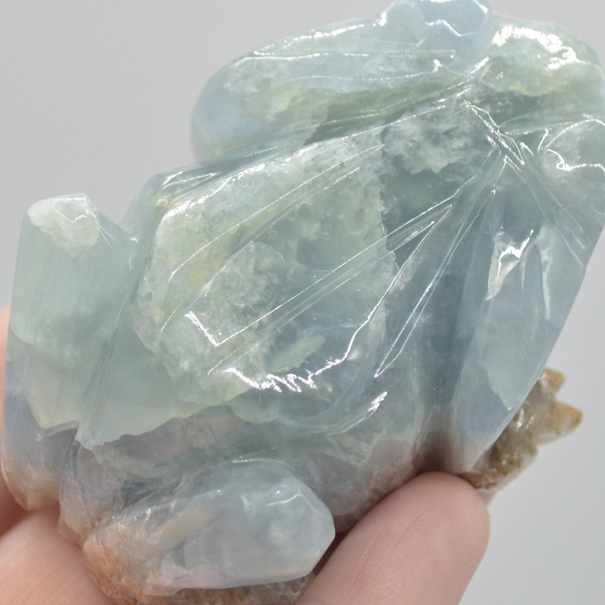 Blue Onyx (Lemurian Aquatine Calcite) Crystal Carved Frog / Toad - 131 grams #02