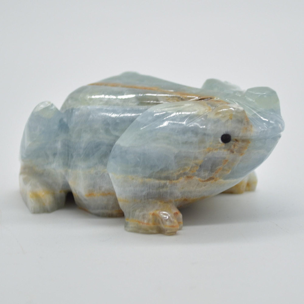 Blue Onyx (Lemurian Aquatine Calcite) Crystal Carved Frog / Toad - 316 grams #01