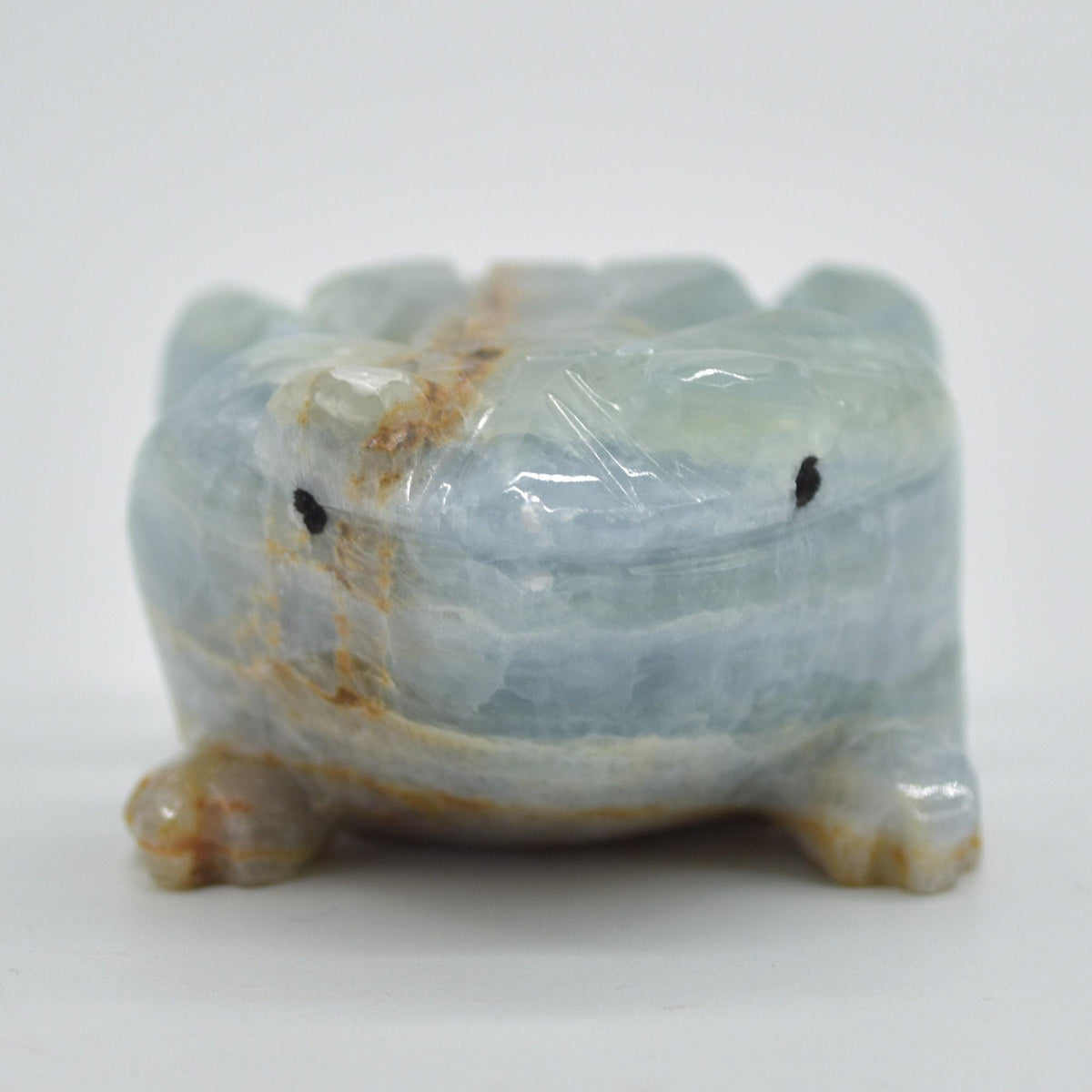 Blue Onyx (Lemurian Aquatine Calcite) Crystal Carved Frog / Toad - 316 grams #01