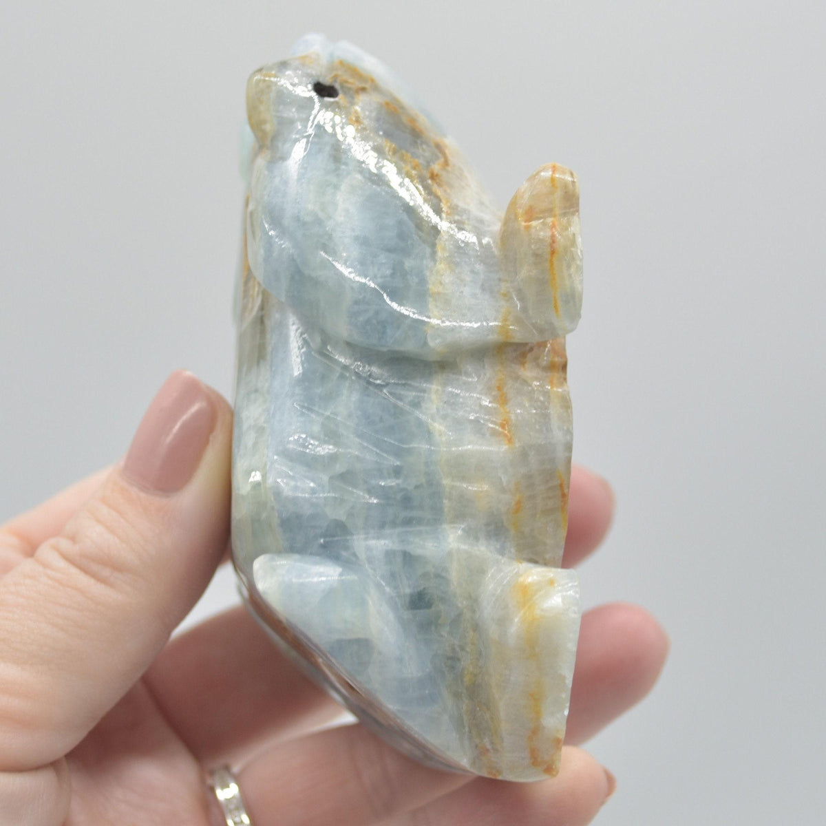 Blue Onyx (Lemurian Aquatine Calcite) Crystal Carved Frog / Toad - 316 grams #01