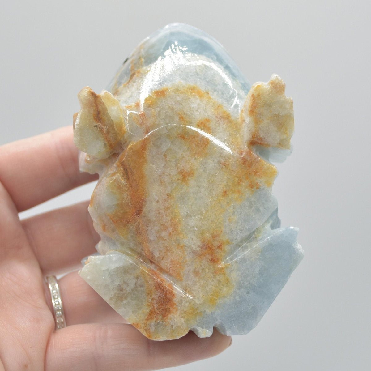 Blue Onyx (Lemurian Aquatine Calcite) Crystal Carved Frog / Toad - 316 grams #01