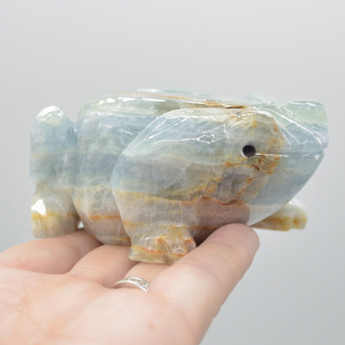 Blue Onyx (Lemurian Aquatine Calcite) Crystal Carved Frog / Toad - 316 grams #01