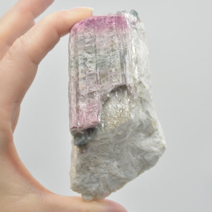 Raw Watermelon Tourmaline Specimen Rock - 219 grams #07