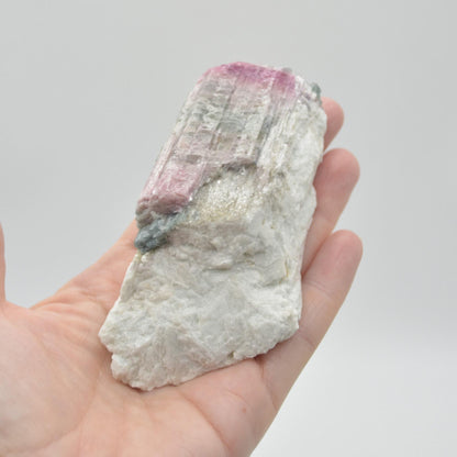 Raw Watermelon Tourmaline Specimen Rock - 219 grams #07