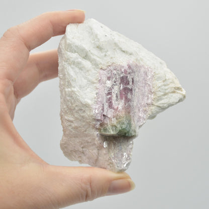 Raw Watermelon Tourmaline Specimen Rock - 308 grams #09