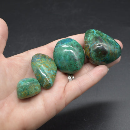 Chrysocolla Tumble Stone Crystals - 4 Sizes