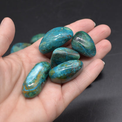 Chrysocolla Tumble Stone Crystals - 4 Sizes