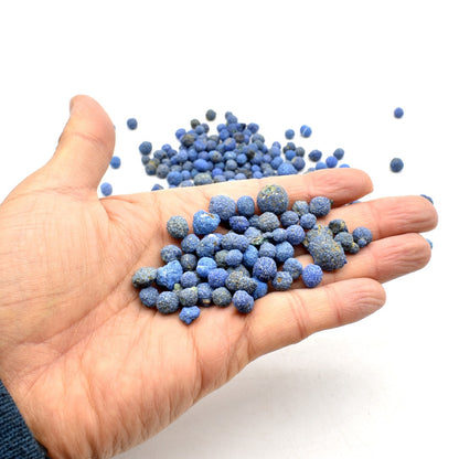 Raw Azurite Blueberries, Nodules from Utah, USA - 3 Pack Sizes