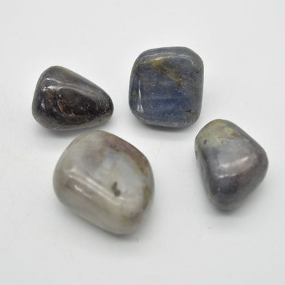 Iolite Tumbled Pebble Stones - 4 Count #01