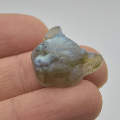 Labradorite Big Cat Head - 2cm x 2cm x 0.9cm - 4.2 grams