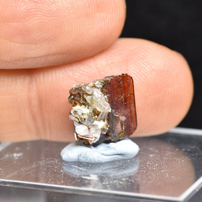 Red Brookite Crystal Specimen with Quartz RARE from Pakistan - 3ct, 0.51grams - 1.2cm