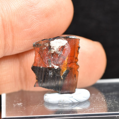 Red Brookite Crystal Specimen with Quartz RARE from Pakistan - 4ct, 0.7grams - 1.7cm