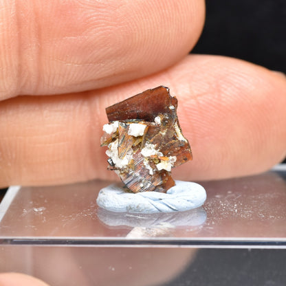Red Brookite Crystal Specimen with Quartz RARE from Pakistan - 2ct, 0.47grams - 1.2cm