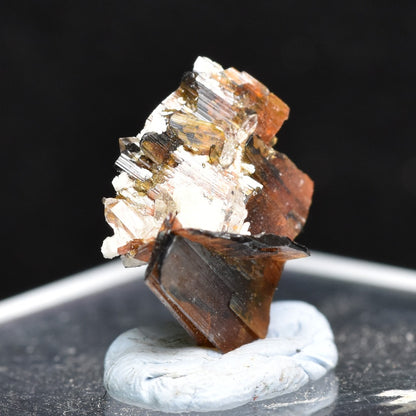 Red Brookite Crystal Specimen with Quartz RARE from Pakistan - 2ct, 0.47grams - 1.2cm