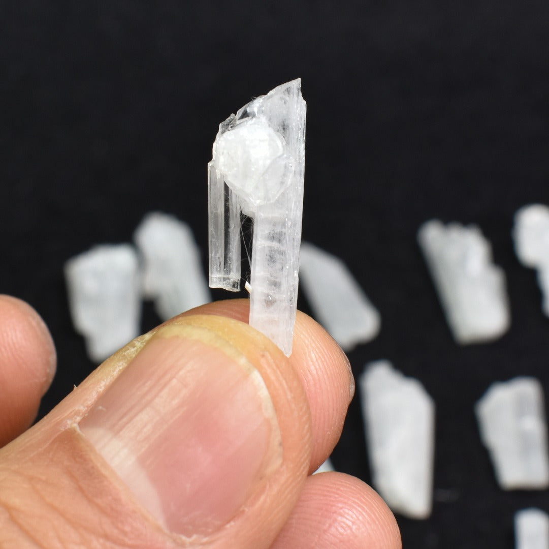 Natural Scolecite Mini Spray, Synergy 12, Raw Crystal Specimen with Apophyllite from India - 1 Count