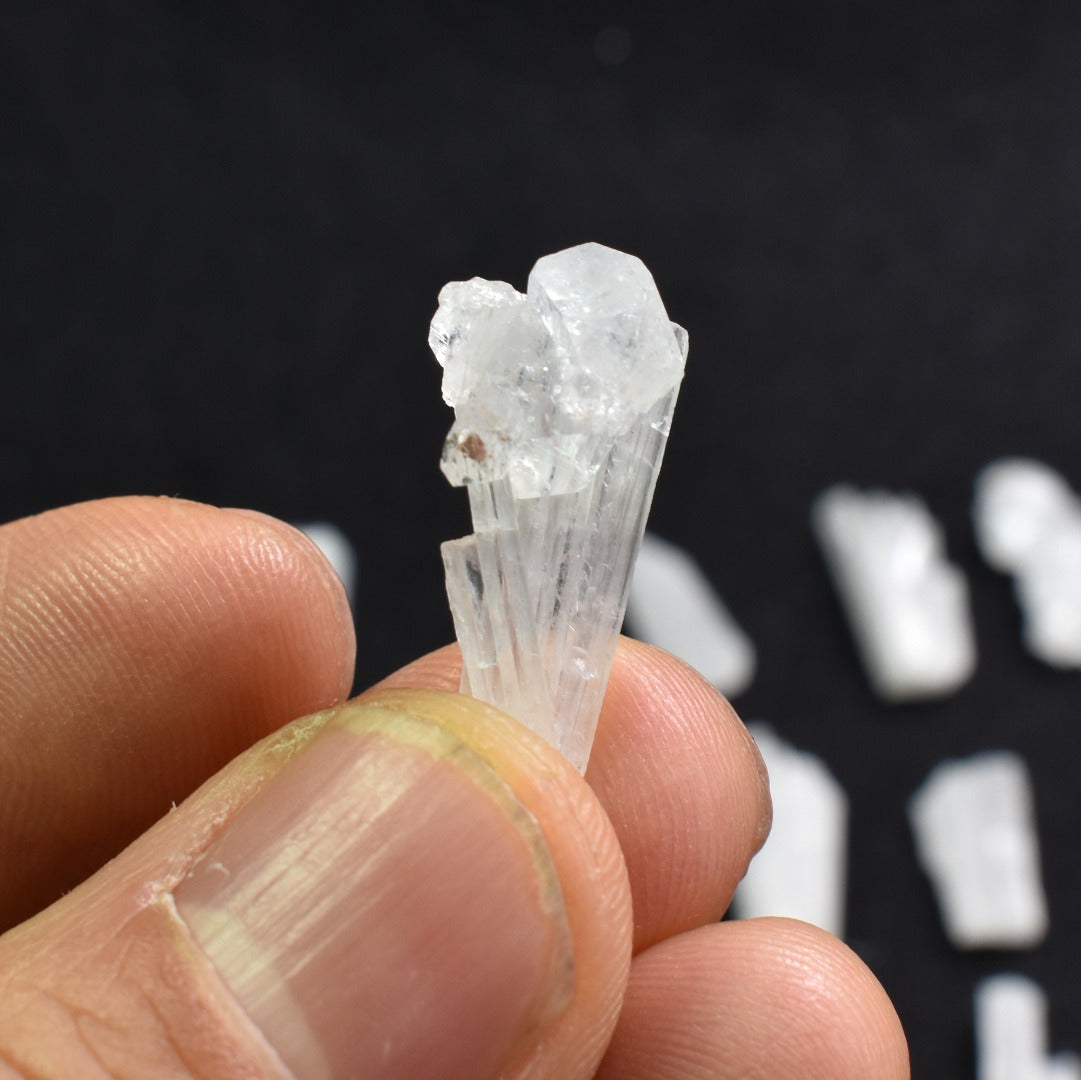 Natural Scolecite Mini Spray, Synergy 12, Raw Crystal Specimen with Apophyllite from India - 1 Count