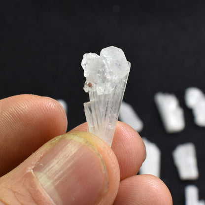 Natural Scolecite Mini Spray, Synergy 12, Raw Crystal Specimen with Apophyllite from India - 1 Count