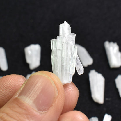 Natural Scolecite Mini Spray, Synergy 12, Raw Crystal Specimen with Apophyllite from India - 1 Count