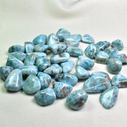 Larimar AA Dolphin Stone Tumbled Stones from Dominican Republic -1 Count