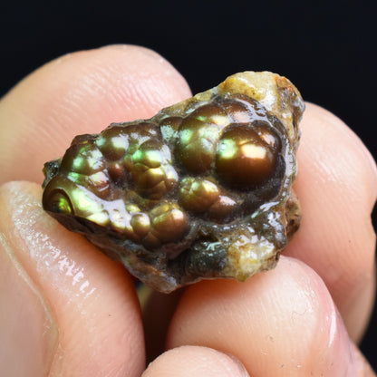 Mexican Rough Raw Fire Agate Specimen Rock - Top Grade - 16ct #64