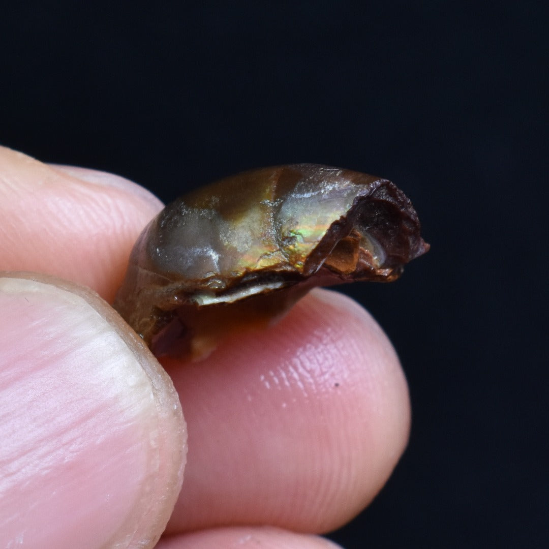 Mexican Rough Raw Fire Agate Specimen Rock - Top Grade - 9ct #69