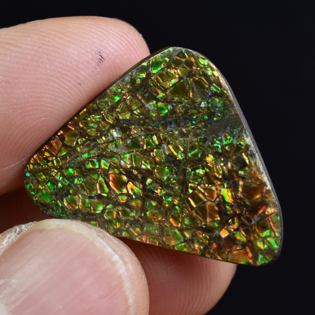 Canadian Natural Ammolite, Ammonite Freeform Polished Cabochon Specimen - 2.4cm x 2.3cm - 4.2 grams