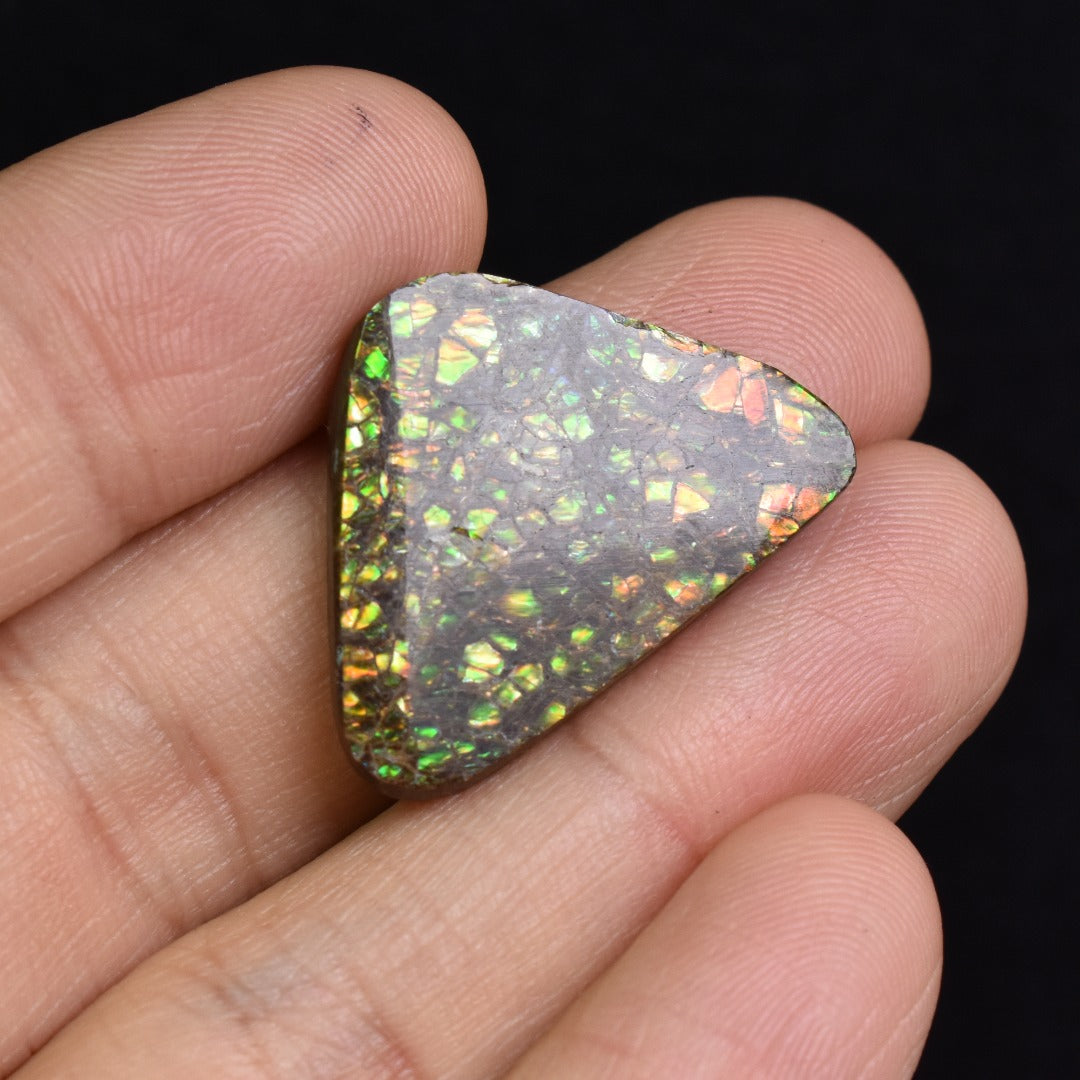 Canadian Natural Ammolite, Ammonite Freeform Polished Cabochon Specimen - 2.4cm x 2.3cm - 4.2 grams